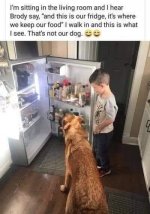 1724083747011.jpeg