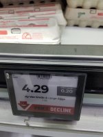 Egg 1.jpg