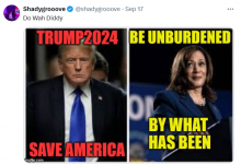 1726960305290.png