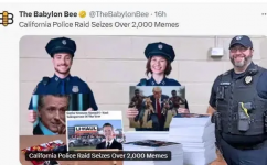 ca_meme_pollice.png