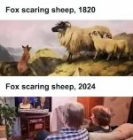 IMG_3785.jpeg