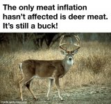 Deer Buck.jpg