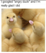 1000024327.png