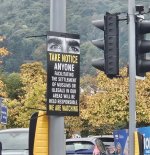 IMG_4695.jpeg
