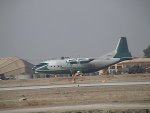 AN-12 Cub.jpg