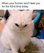 14C16F49-7905-4EF2-9E71-83AB18DA367B.jpeg