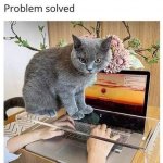 EDD42307-F233-49F5-B0C8-EDD9A1FDF630.jpeg