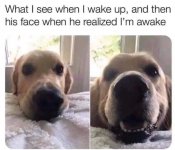 1729304595573.jpeg
