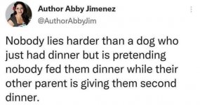 1729304642004.jpeg