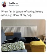 1729304674834.jpeg