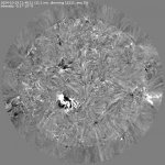 res50_pBDI_0025.jpg