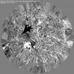 res50_pBDI_0071.jpg