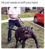 1729881793010.png