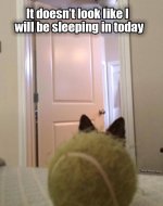 1730055387854.jpeg