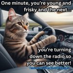 IMG_6343.jpeg