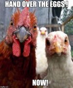 IMG_0478.jpeg