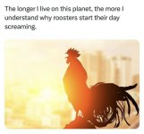 IMG_9947.jpeg