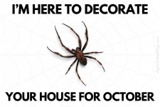 5262785F-D4FA-4FA2-B0DE-7123138C073C.jpeg
