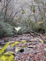 IMG_5568.jpeg