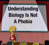 1730186427256.png