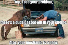 Meme - mechanic is a pony.png