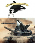 1730271911497.png
