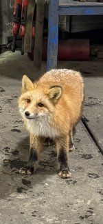 IMG_2363.jpeg