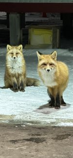 IMG_5207.jpeg
