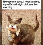 1731563292275.png