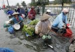 Vietnam_Floods-1.sff_XCS101_20081102234449.jpg