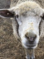 IMG_6680.jpeg IMG_6680.jpeg