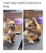 1732420922222.jpeg