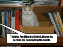 FF2C7F56-87F3-442C-9DCF-3588334B322E.jpeg