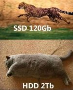 1732803795657.jpeg