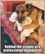 IMG_4654.jpeg