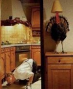 IMG_4652.jpeg