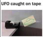1732839197459.jpeg