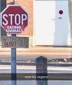 1732839575876.jpeg