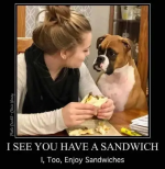 1732873672756.png