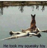 DogToy.jpg