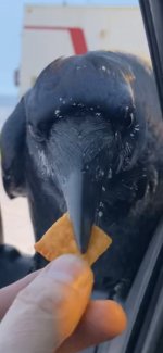 IMG_3402.jpeg