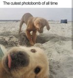 1732941769698.jpeg