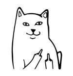 middle finger.JPG