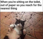 1733297202741.png