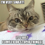 1734848099110.png