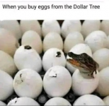 EggsDollarTREE.png