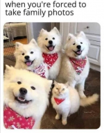 1735626250692.png