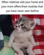 1736070459412.png