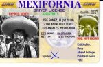 mexifornia.jpg