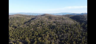 IMG_6526.png IMG_6526.png